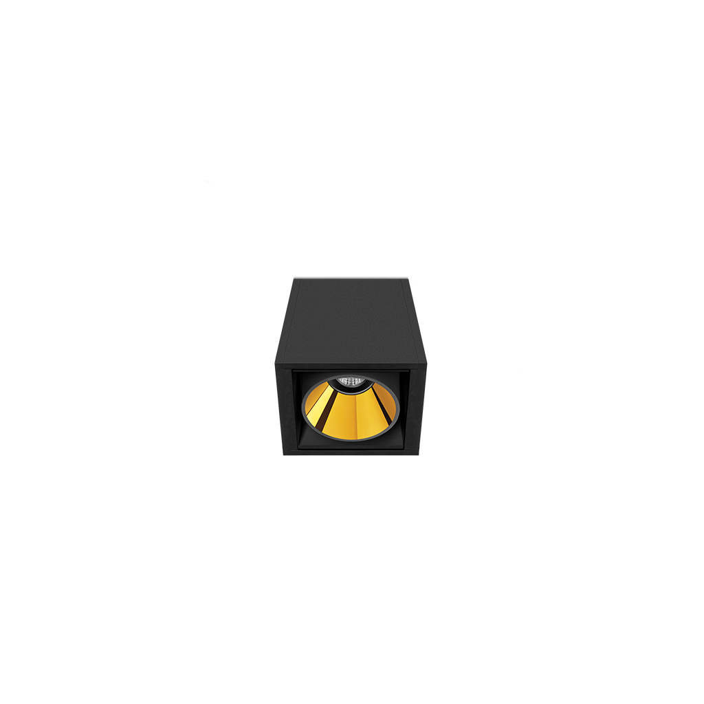 black_foster-02_01-black_foster_surface_1-NTMG