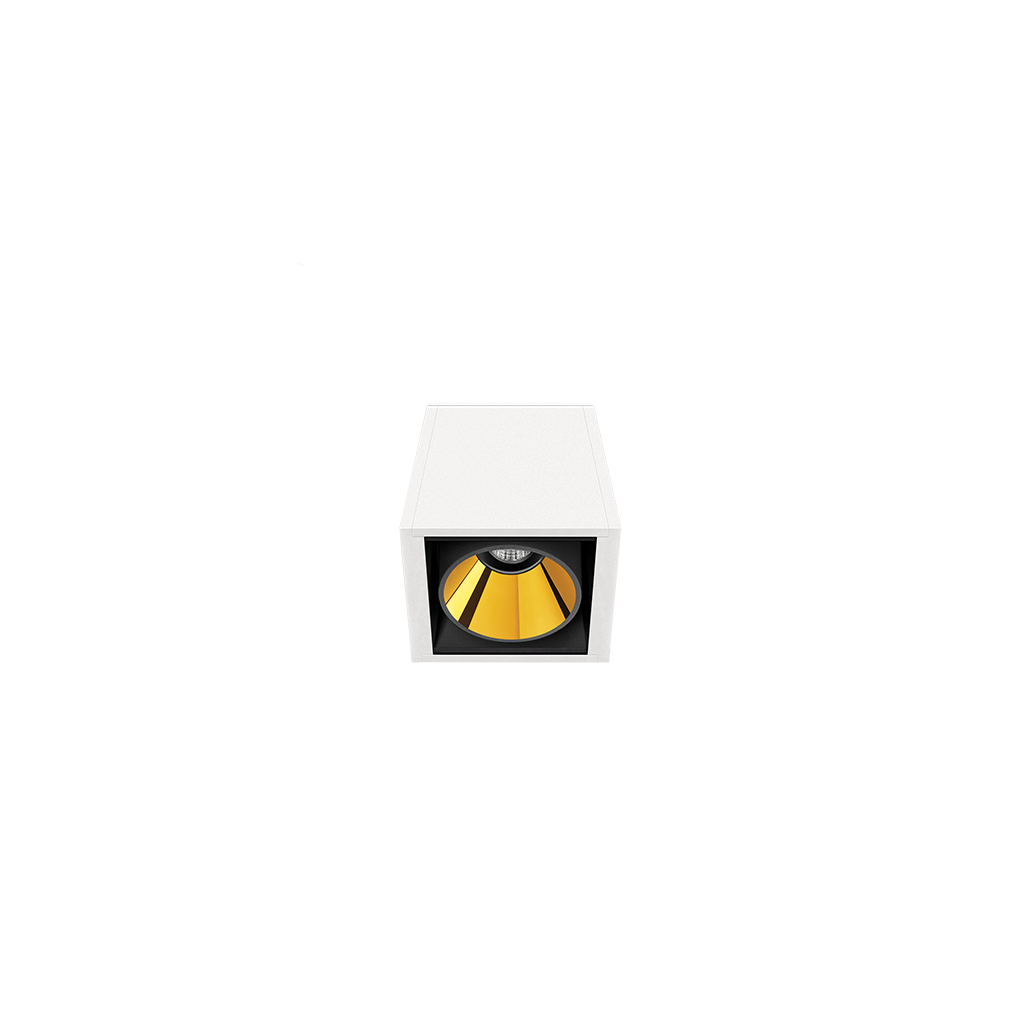 black_foster-02_01-black_foster_surface_1-WTMG