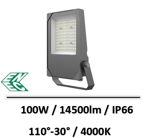 projecteur-enec