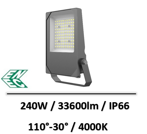 PROJECTEUR-enec