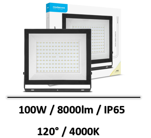 projecteur-100W-pas-cher