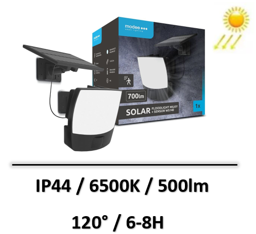 projecteur solaire avec détecteur