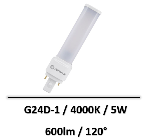 ampoule-G24