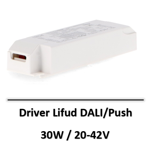 driver-lifud-dali
