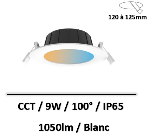 downlight-CCT