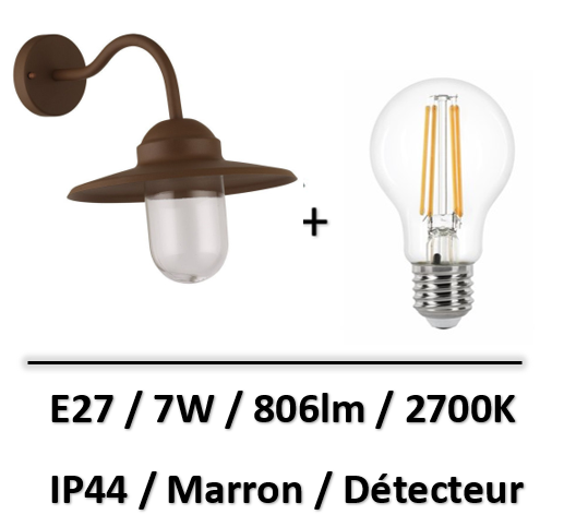 applique-exterieure-col-de-cygne-avec-detecteur