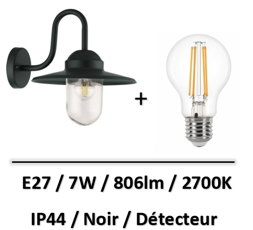 applique-exterieure-col-de-cygne-detecteur