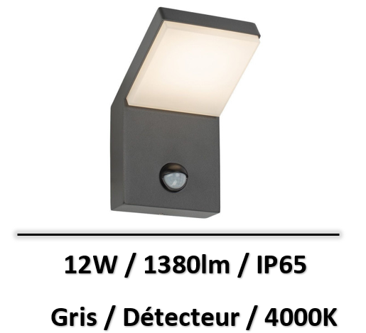 applique-avec-detecteur