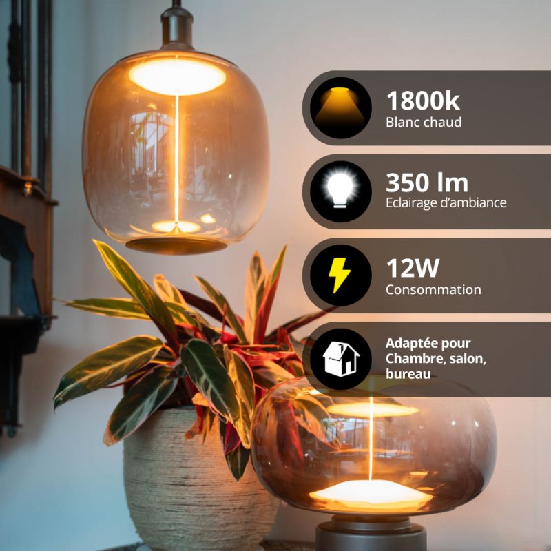 ampoule-filament-led-deco-magnetique-ellipse-culot-e27-conso-12w-350-lumens-blanc-chaud (1)