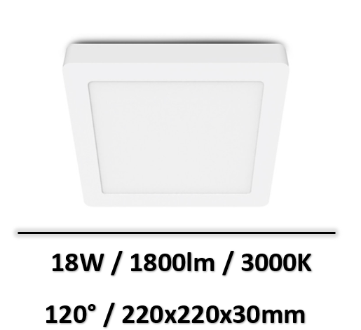 101005