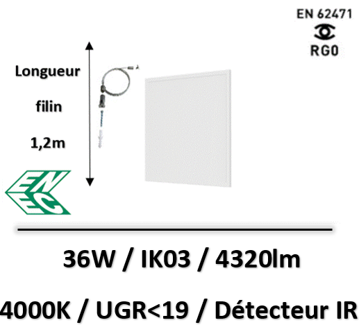 dalle-avec-detecteur