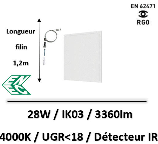 DALLE-avec-detecteur