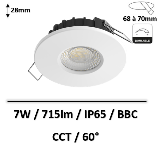 spot-plat