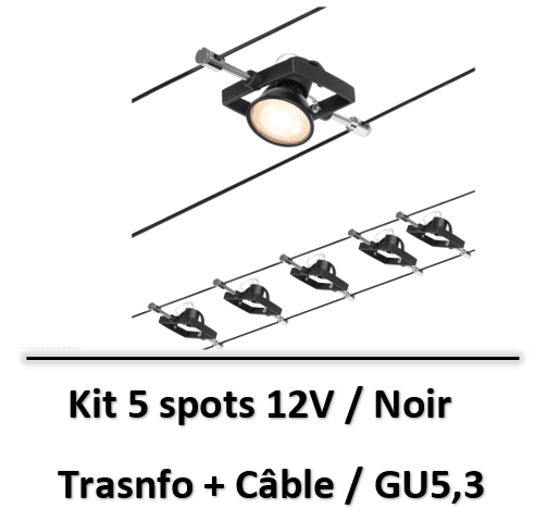 spot-sur-cable-paulmann