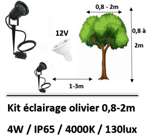 spot-12V