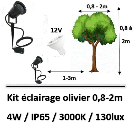 spot-12V