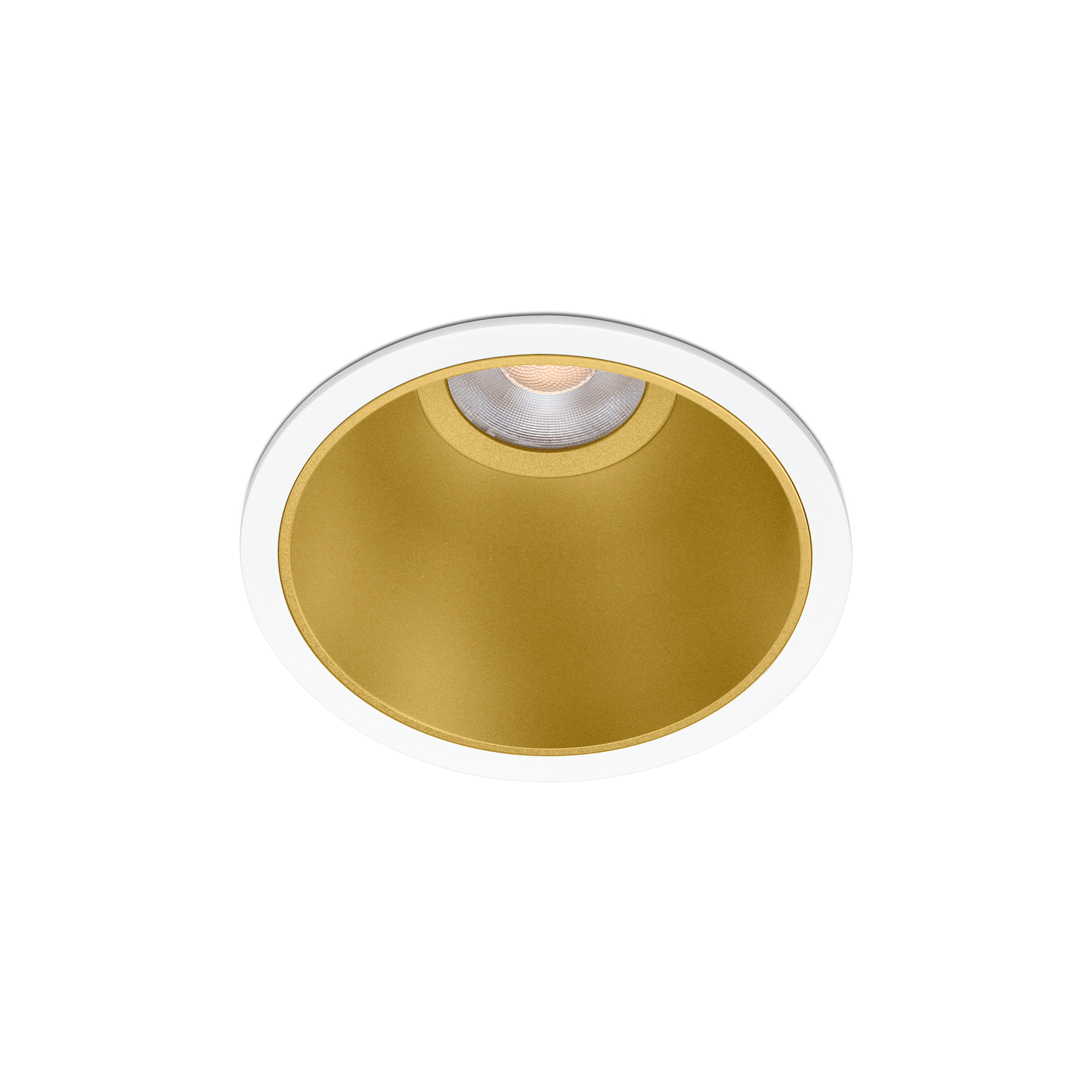 buddy-001-WG