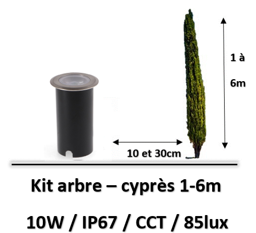 eclairage-arbre