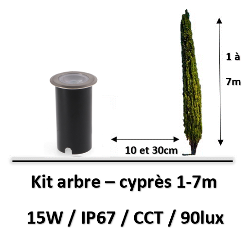eclairage-arbre