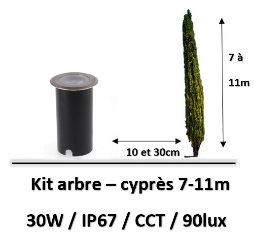 eclairage-arbre