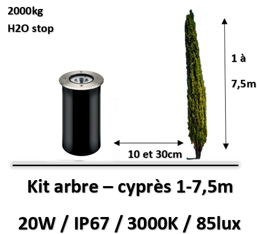 eclairage-arbre