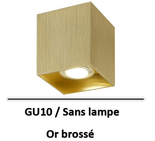 spot-gu10-saillie