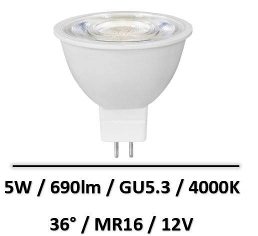 ampoule-led-12V