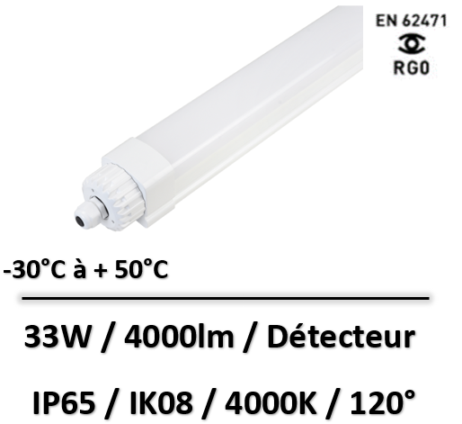 eclairage-chambre-froide