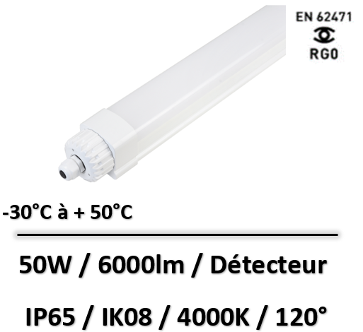eclairage-chambre-froide