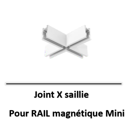 JOINT-x-sallie