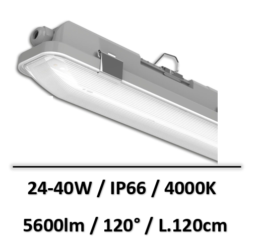 reglette-isoled