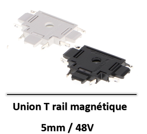 RAIL-magnetique