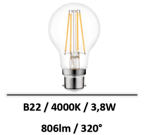 ampoule-led-B22