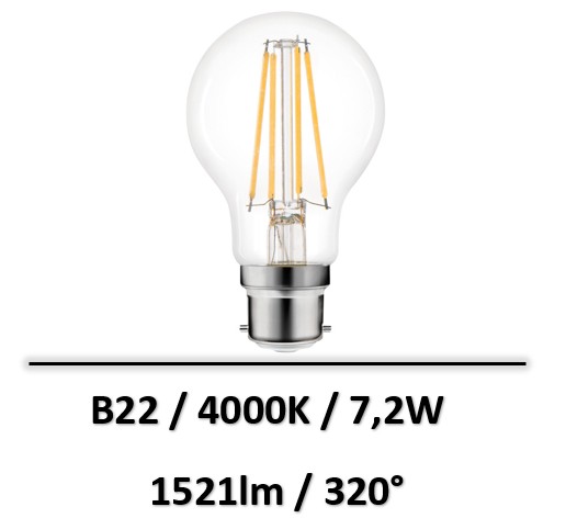ampoule-led-B22