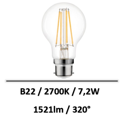 ampoule-b22