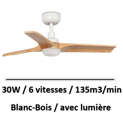ventilateur-plafond-en-pente