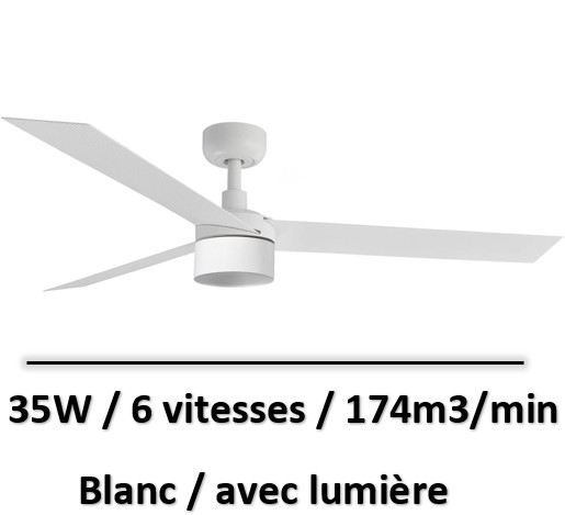 ventilateur-plafond-grande-surface