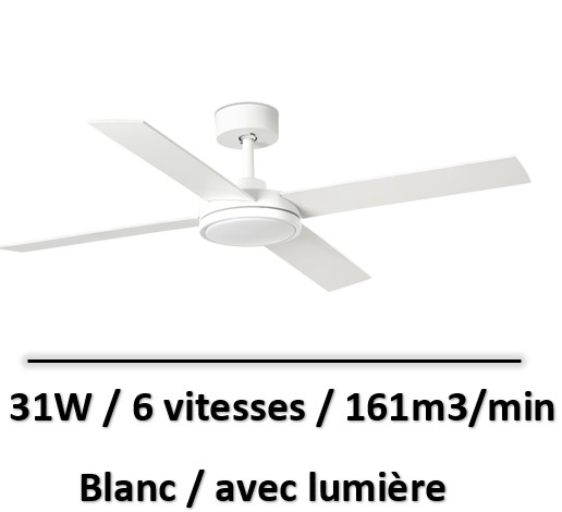 ventilateur-plafond-grande-surface