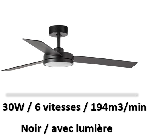 ventilateur-plafond-grande-surface