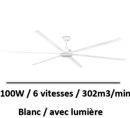 ventilateur-plafond-grande-surface