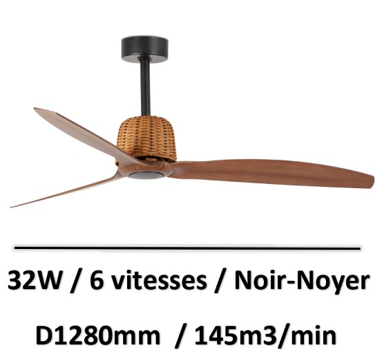 ventilateur-plafond-design