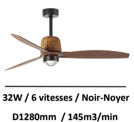 ventilateur-plafond-design