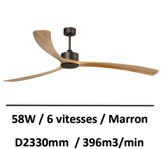 ventilateur-plafond-grande-surface
