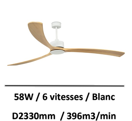 ventilateur-plafond-grande-surface