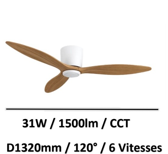 ventilateur-faux-plafond