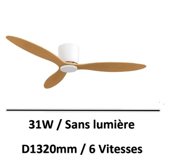 ventilateur-faux-plafond