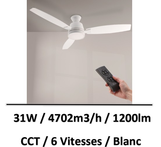 ventilateur-plafond