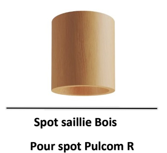 beneito-faure-pulcom