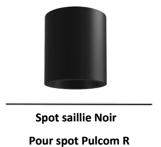 beneito-faure-pulcom