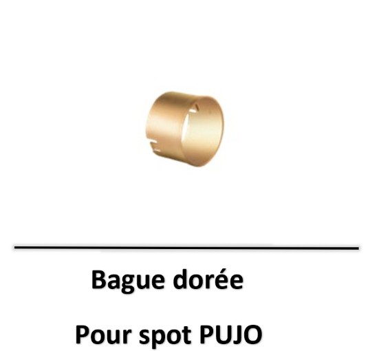 pujo-oggi